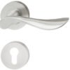 Door Handle Set LDH 2180